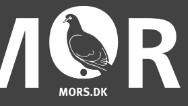 Digitaliseringsmedarbejder med fokus på AI, men også RPA og automatisering
